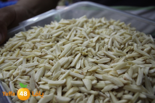 zhra2 tamer 705 (5).JPG